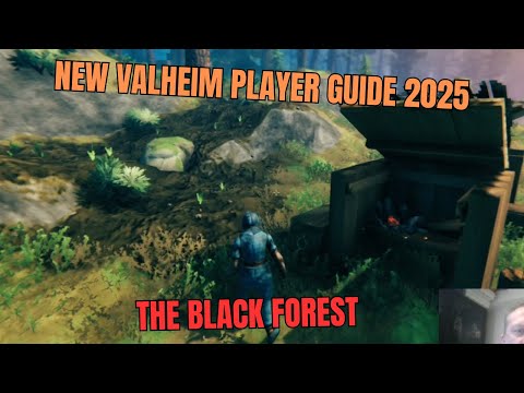 Valheim New Player Guide - The Black Forest