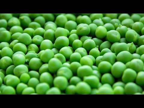 Reč struke ep. 112 19.09.2017. NAJAVA