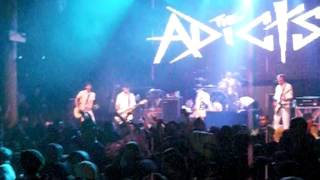 The Adicts - Johnny Was A Soldier // 06/21/16 The Yost Theater, Santa Ana California