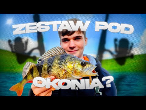 Jaki pierwszy zestaw na Okonia? | Jaką okoniówkę wybrać | Dżejsiok