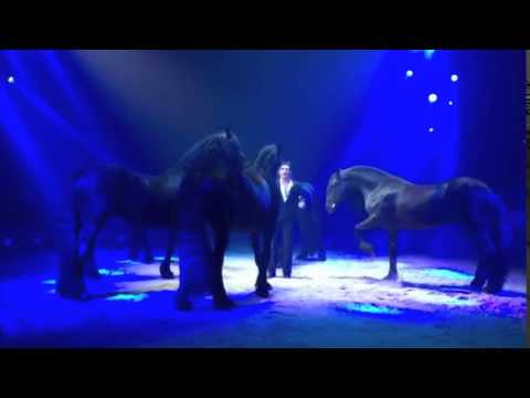 Circus Knie 2016 Pferde