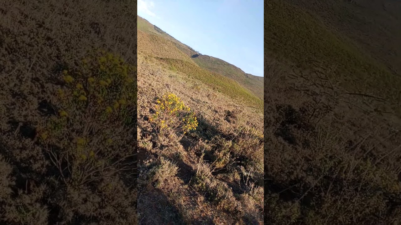 5 Acres block for sale in Ndeiya Nguirubi video thumbnail