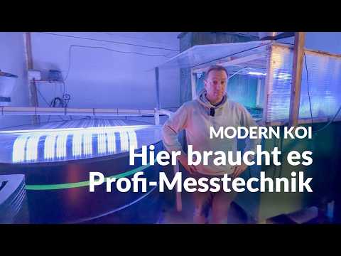 Eine Wasseranalyse in Georgs Innenhälterungen | Modern Koi Blog #7917