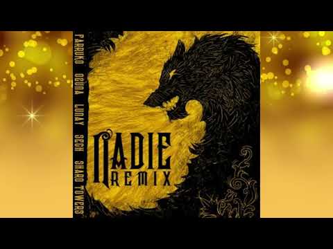 Farruko Feat. Sech, Ozuna, Lunay - Nadie Remix  (Audio)