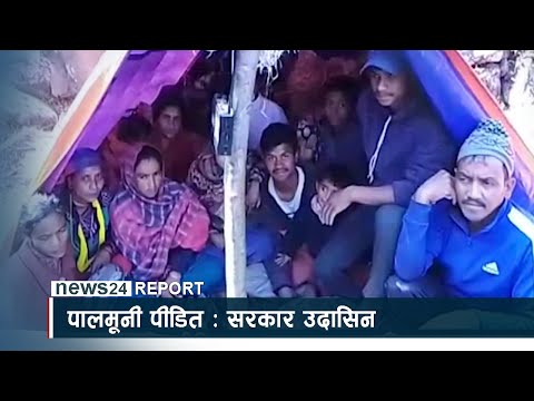 पालमूनी पीडित : सरकार उदासिन - NEWS24 TV