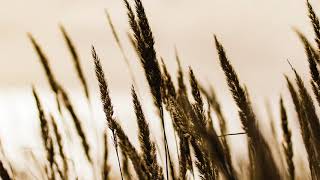 Anthem from The Musical Chess