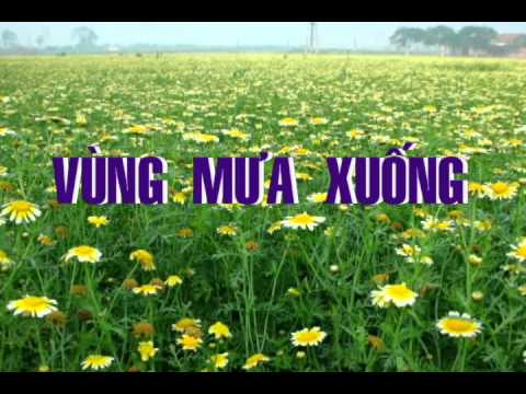 Thể hiện bởi Minh Trí