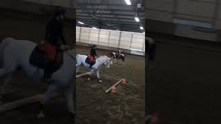 Download lagu Grazie dei 100 iscritti🫶🏻 | L'ultima volta la Chanel🩵💋 #chanel #horses #maneggio #equestrian #shorts mp3 Download lagu Grazie dei 100 iscritti🫶🏻 | L'ultima volta la Chanel🩵💋 #chanel #horses #maneggio #equestrian #shorts mp3