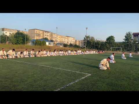 Academia de Arte Marțiale ''Nicu Dascălu''