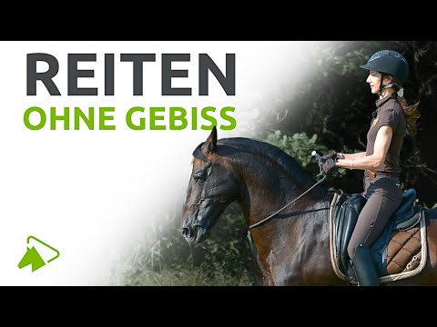 So gelingt es, dein Pferd gebisslos zu reiten | Reiten ohne Gebiss mit Alizeé Froment | wehorse