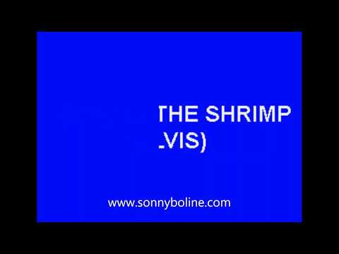 Song Of The Shrimp - Elvis Presley