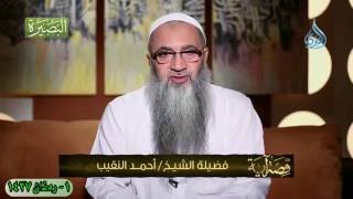 صورة قصة آية | أ.د/ أحمد النقيب