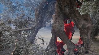 Grecia lucha contra los incendios: el fuego en Creta sigue fuera de control y amenaza nuevas zonas