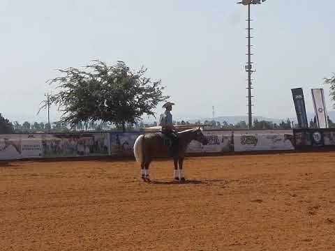 Lior Dubovski with Xtra Step Balou Open NRHA IEF championship 2018 Sharona