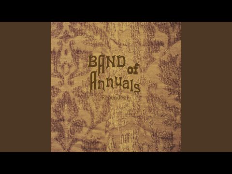 Constant Stride - Band of Annuals