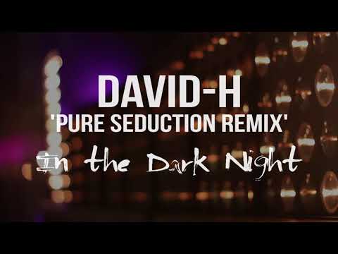 In the Dark Night // David-H Pure Seduction Remix