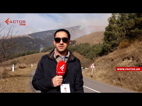 Դիլիջանում անտառ է այրվում. ՈՒՂԻՂ | Factor.TV