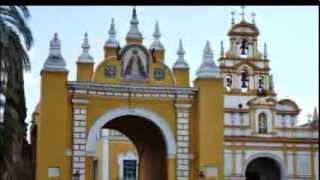 Trinia -- Miguel de Molina.