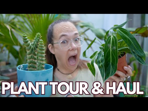 Rare finds! Plant shopping day with HAUL | Plant with Roos