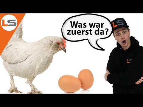 What comes first – primer or filler? | LACKSTORE