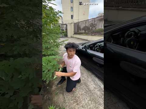 He Tried to Save His Car From Disaster 🤯