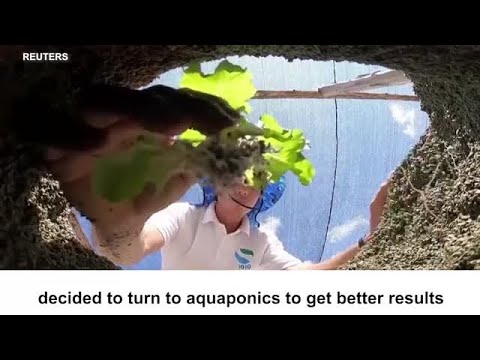 Two Cubans Combine Fishing, Farming for Better Food Production