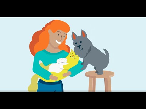 Learn More About Pets Best Pet Insurance