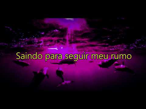 Dolphins - Imagine Dragons
