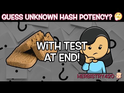 Guess Cannabis Hash Potency Test: 5 Best Methods