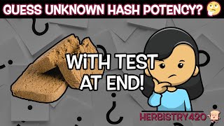 Guess Cannabis Hash Potency Test: 5 Best Methods