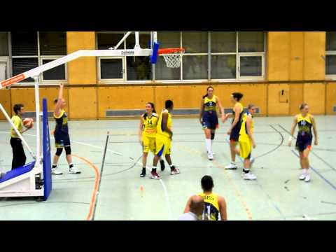 Flying Foxes Post Wien-Baschet Club ICIM Arad