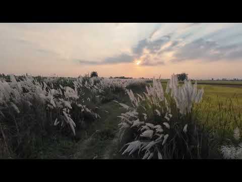 A scenery of nature...