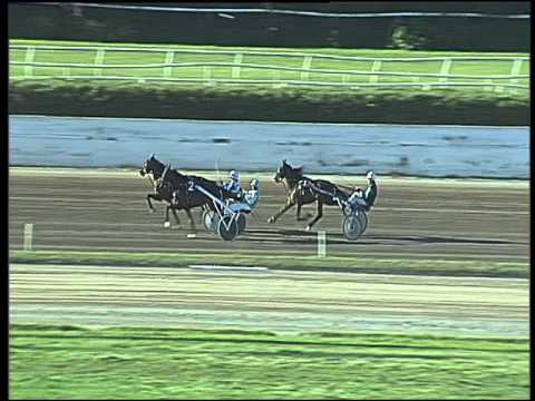 Trotto 15/04/2016 - prova di qualifica