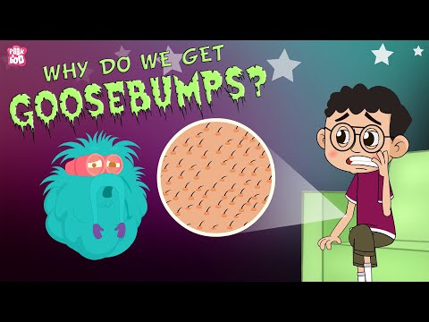 Why Do We Get Goosebumps? | The Dr. Binocs Show | Best Learning Videos For Kids | Peekaboo Kidz