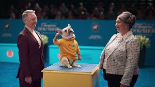 WOW! fiber Internet Price Lock Promise