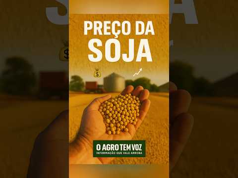 Soja — Mercado disponível (08/07/2026)