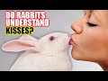 Do Rabbits Understand Kisses And Hugs