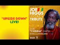 🎸Earl Chinna Smith Performs Joe Higgs’ Upside Down | Live at Bob Marley Museum | Binghistra Movement