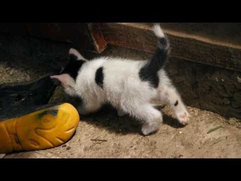 In vacanta prin  Poiana Teiului