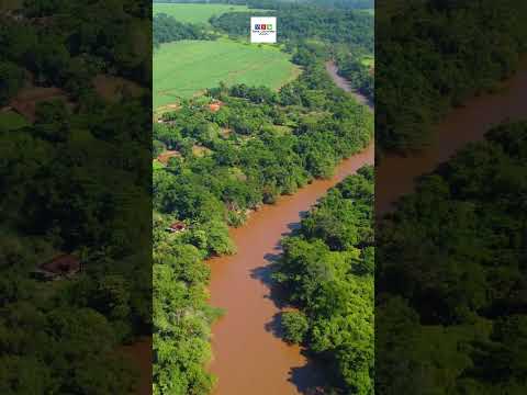RIO SAPUCAÍ - SÃO JOSÉ DA BELA VISTA-SP / NUPORANGA-SP #shorts