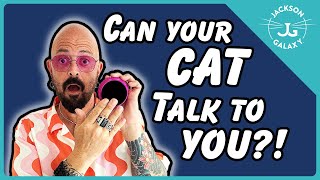 Talking Buttons for Cats: i can haz language?