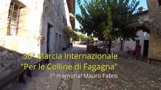 preview picture of video '36ª Marcia Internazionale Per le Colline di Fagagna 23_11_2014'