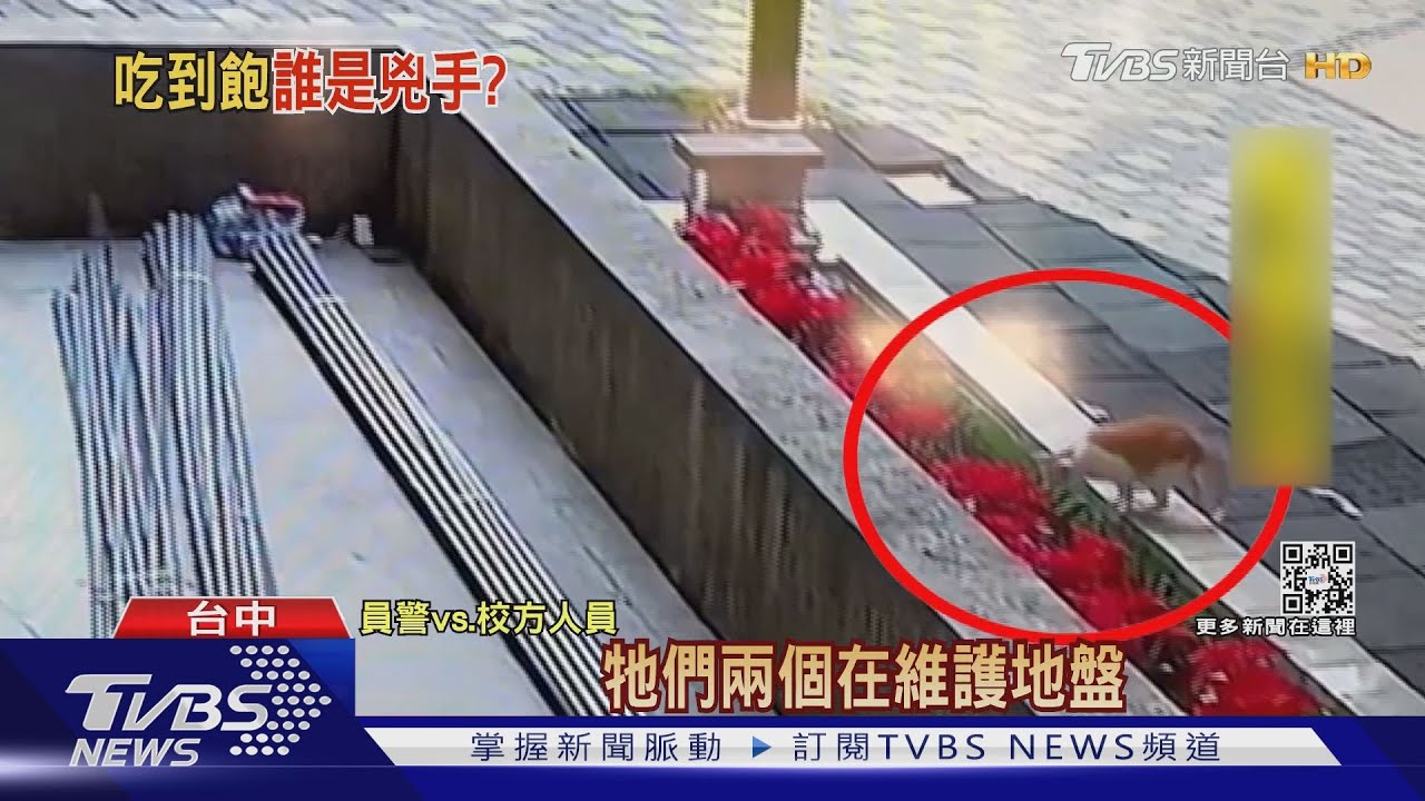 200條魚全沒了! 是「牠們」溜校園吃霸王餐