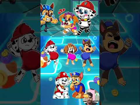 Paw Patrol Scary Chase vs Ryder x Coffin Dance Tiles Hop EDM Rush#coffindance #pawpatrol #283