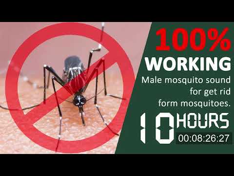 Anti Mosquito 2023 - Male Mosquito Sounds - 10 hours - 100% WORKING