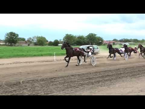 Trka "Opština Velika Plana" 12.05.2019 Ironwill- Dejan Petrović