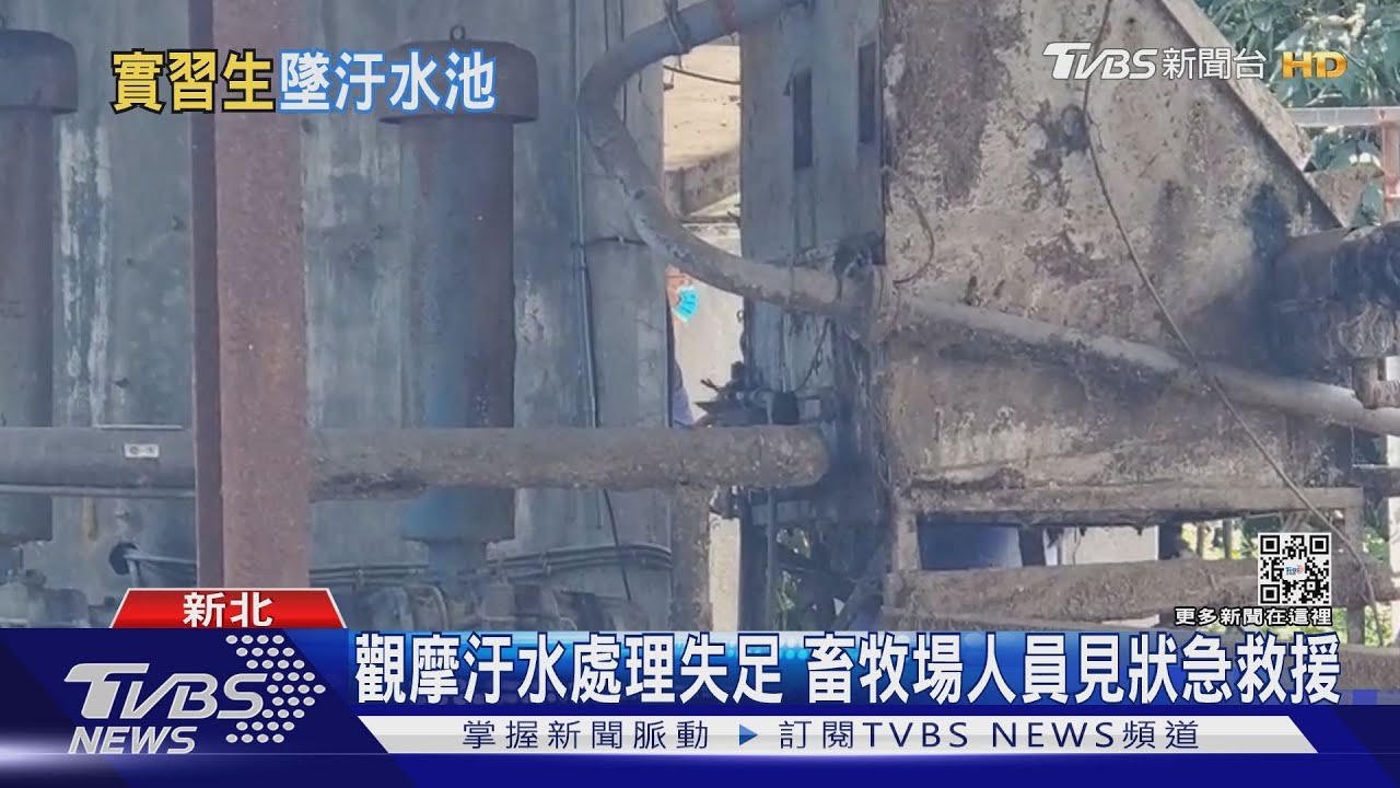 赴畜牧場見習! 高中生「跌入3米深汙水池」