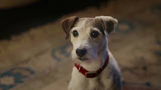 Stouffers Happyfull Creamy Cheesy Dog