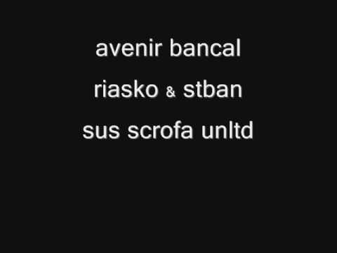 Askom & Stban - Avenir bancal