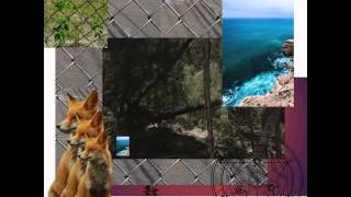 Sir Michael Rocks - Aint Nothing Like (feat. Too $hort &amp; Chuck Inglish)